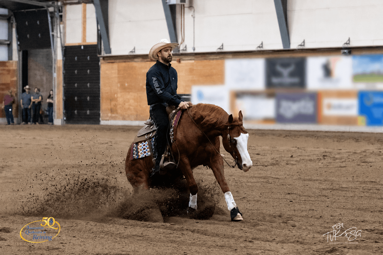 Travail d’un cheval de reining en concours